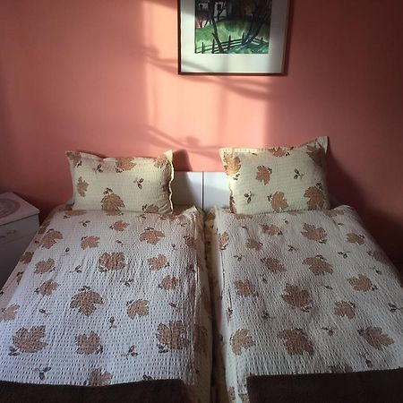 Becze Vanda Kulcsoshaz Lăzarea 外观 照片